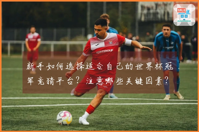 新手如何选择适合自己的世界杯冠军竞猜平台？注意哪些关键因素？