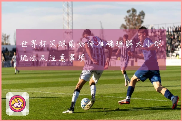 世界杯买球前如何准确理解大小球玩法及注意事项