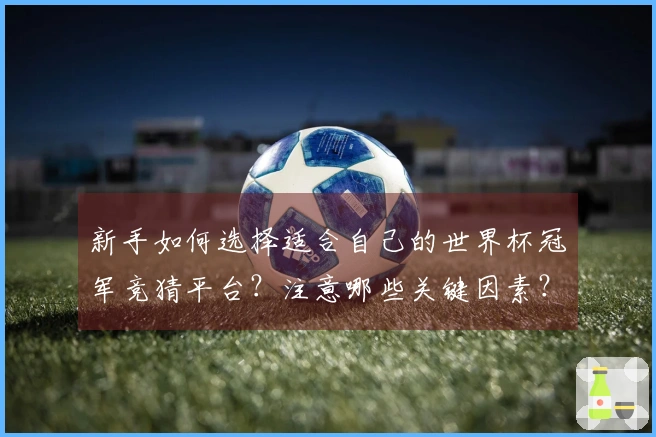新手如何选择适合自己的世界杯冠军竞猜平台?注意哪些关键因素?